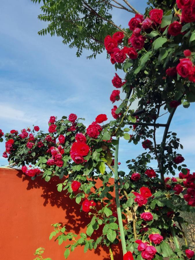 Valley Views Full House Stargazing In Valencia Holiday home Ayora